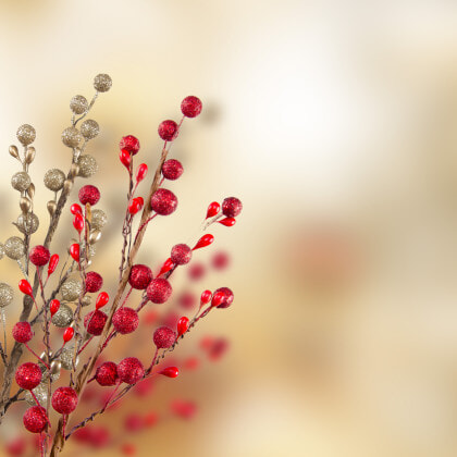 Christmas gold and red decoration