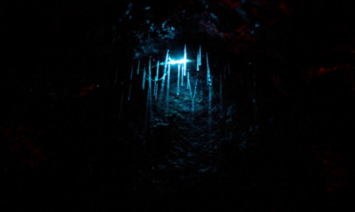 Cougar Dating Hot Spot Glow Worm Caves