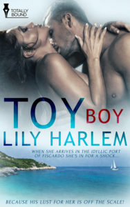 Toyboy_book